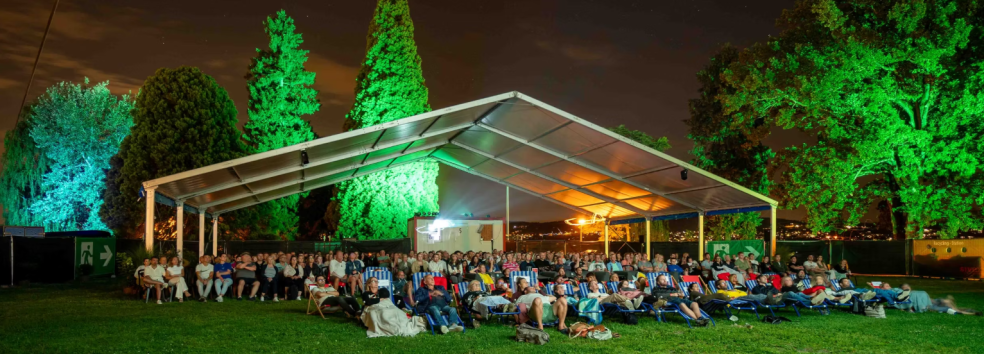 Business Networking Special @ Openair Kino Richterswil